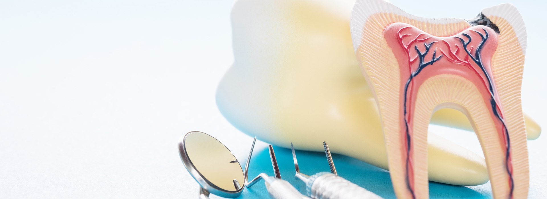 An image of a dental model with an implant, accompanied by a toothbrush and dental instruments, set against a light blue background.